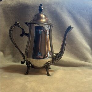 Elegant Silver Teapot